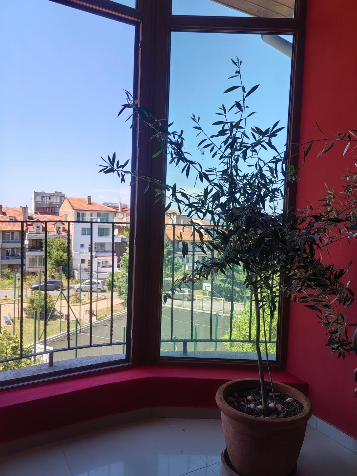 Moreno Sozopol Exterior photo